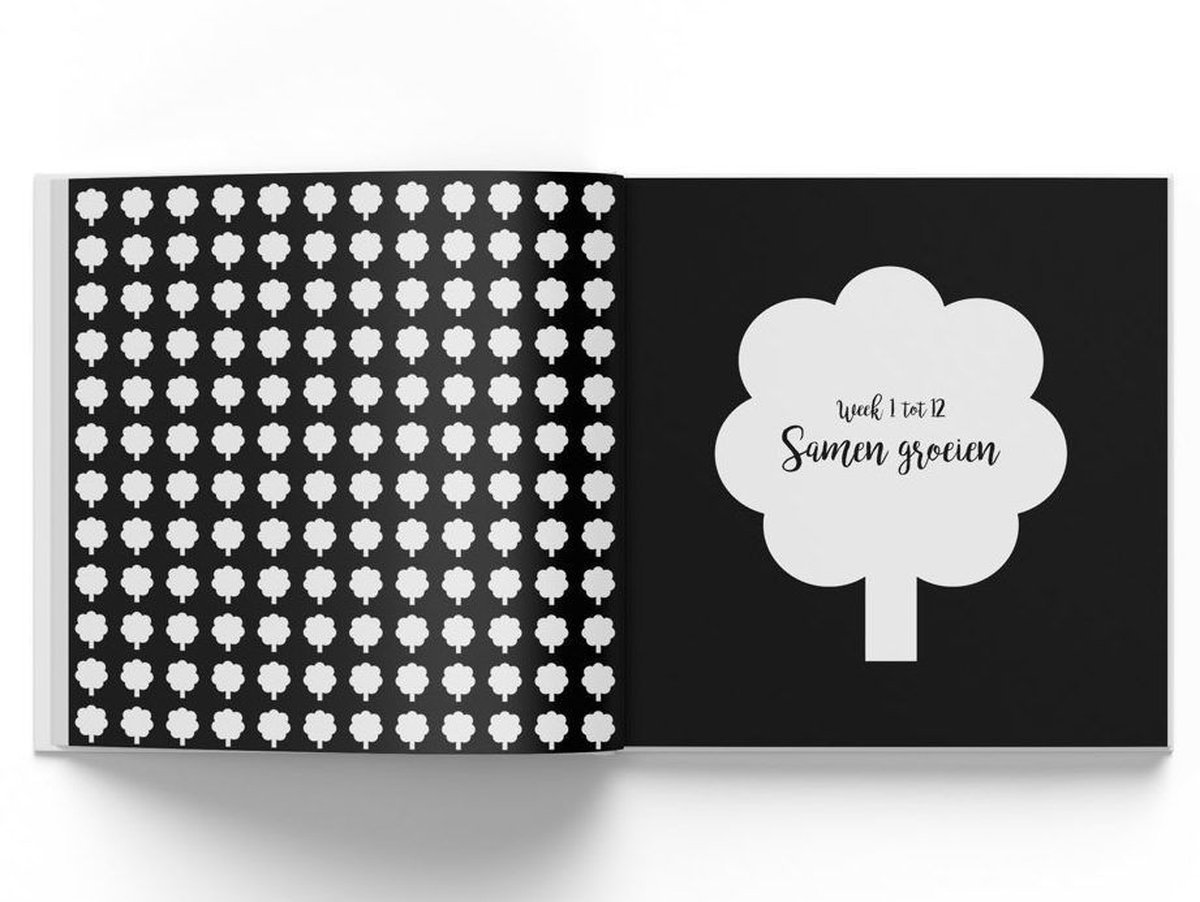 Hello Baby - Mijn zwangerschap2