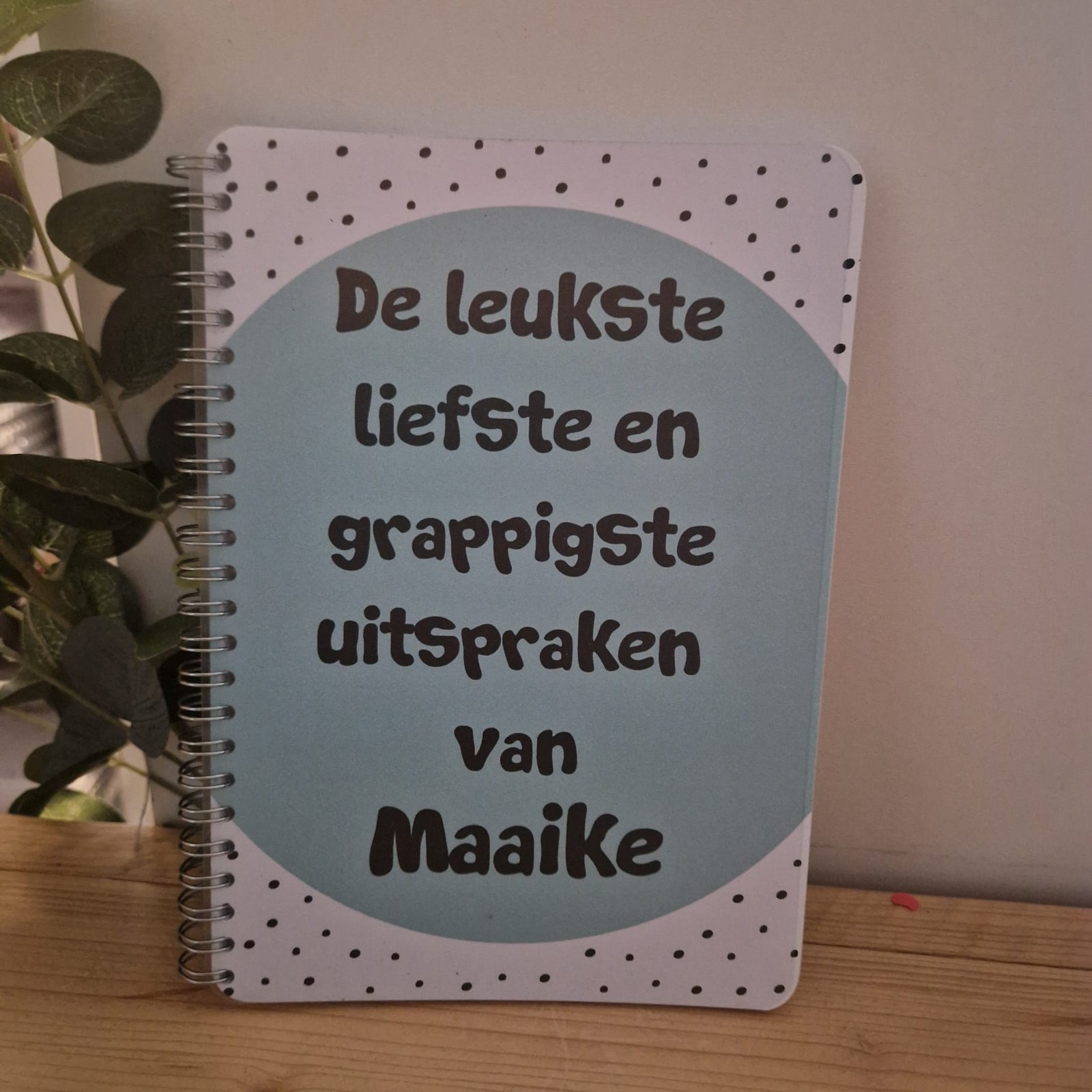 Uitsprakenboek met naam