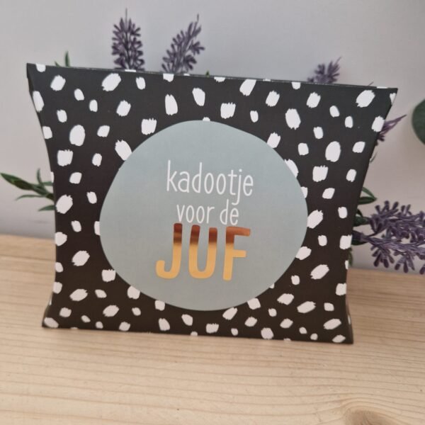 Gondeldoosje - Kadootje voor de juf + Keycord (2)