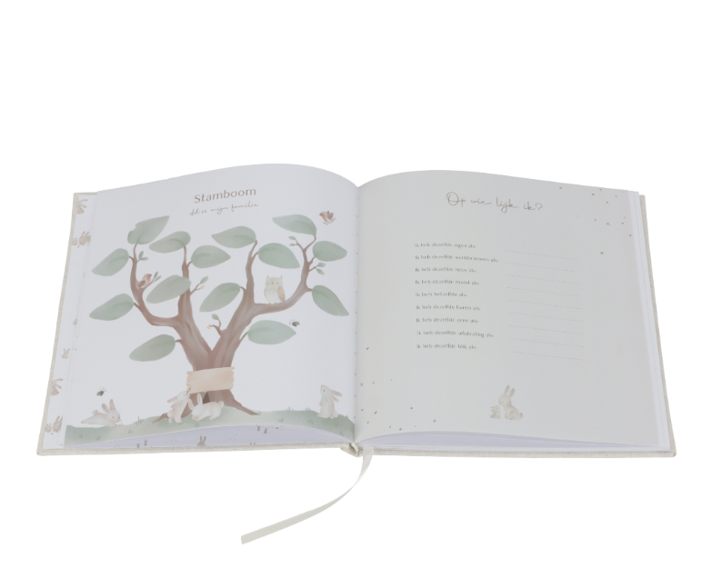 Little Dutch Babyboek 'Mijn eerste jaar' Baby Bunny FSC (9)