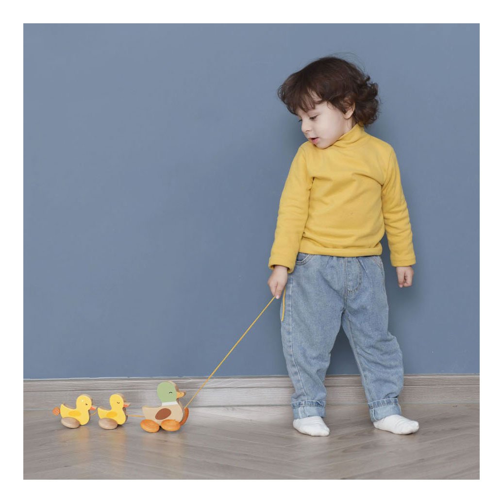 Classic World Houten Trekfiguur Eenden (2)