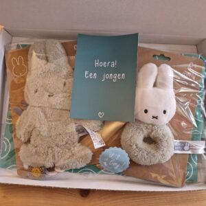 51d4e28e-8f53-4e4b-9eac-d4389954af58