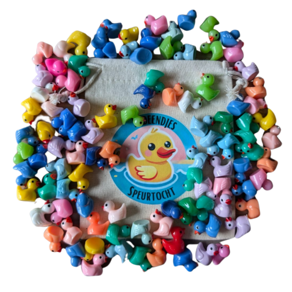 Eendjes speurtocht - Set van 100 gekleurde