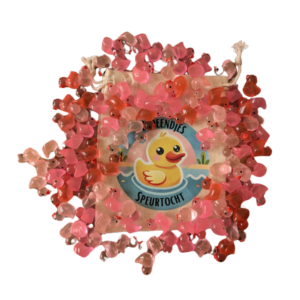 Eendjes speurtocht - Set van 100 Roze eendjes