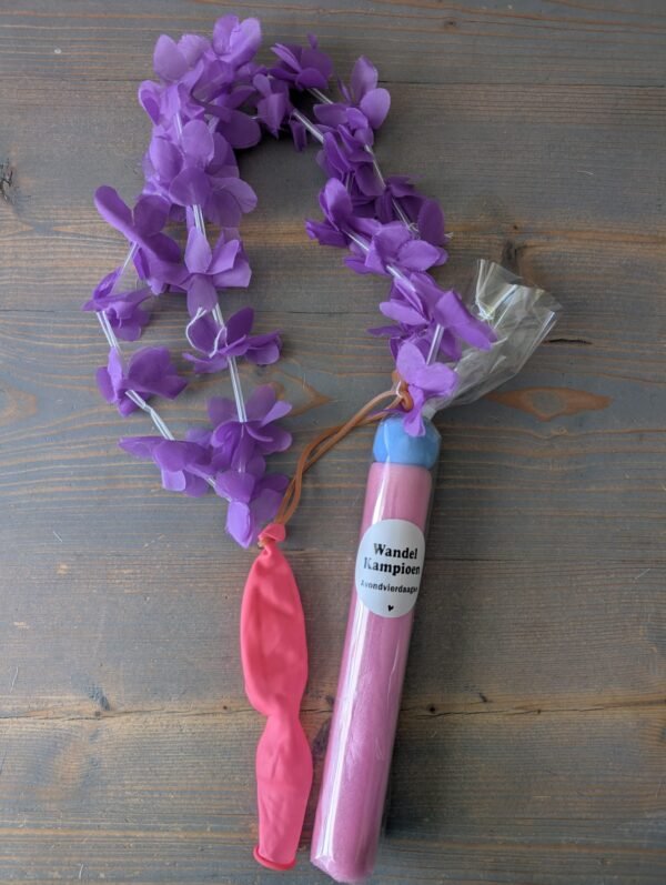 Avondvierdaagse cadeau (4)