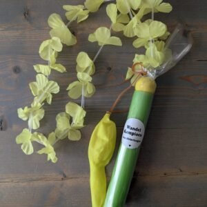 Avondvierdaagse cadeau (5)