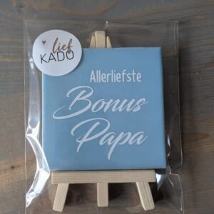 Liefste Bonuspapa (3)