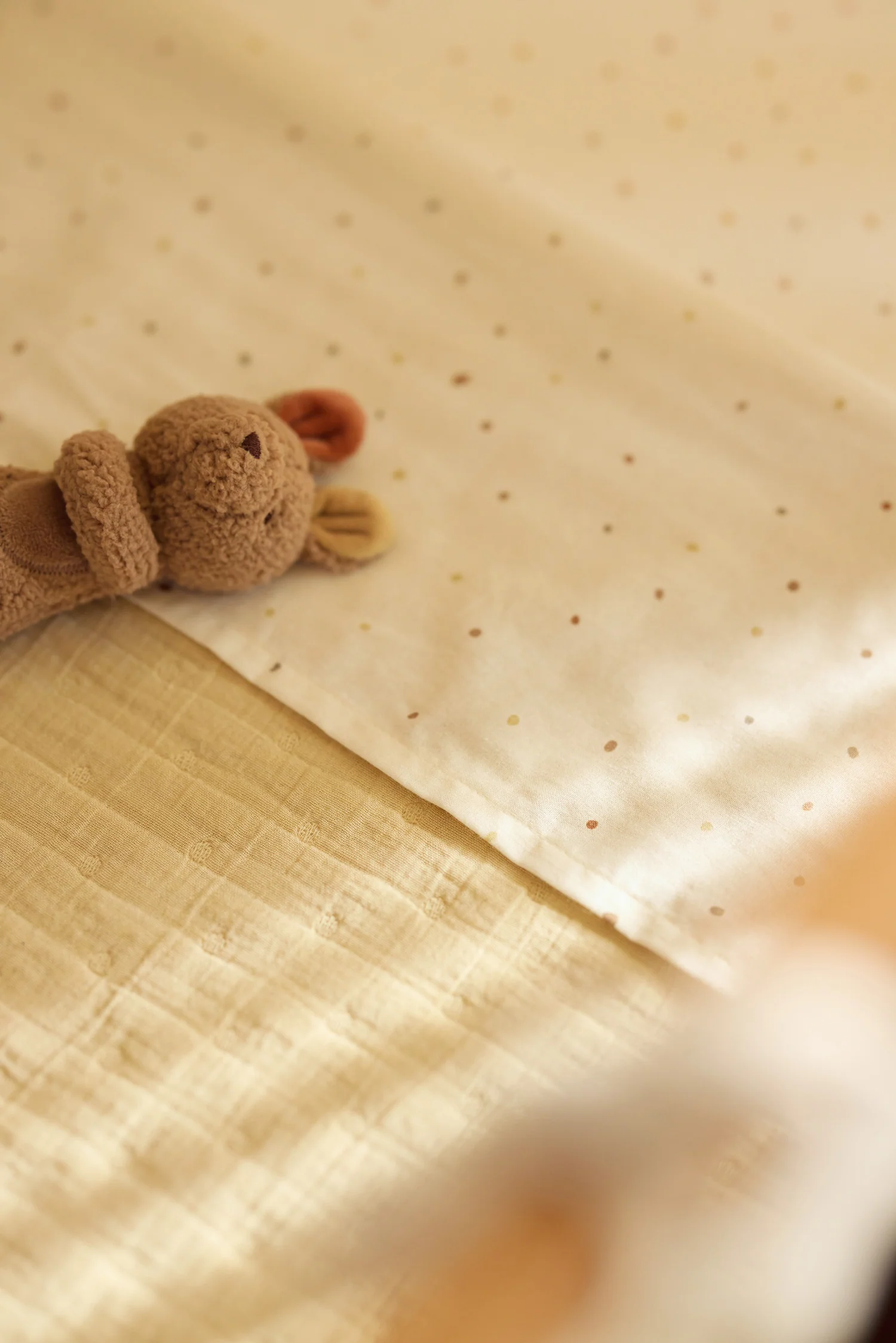 Jollein Rammelaar Kangaroots