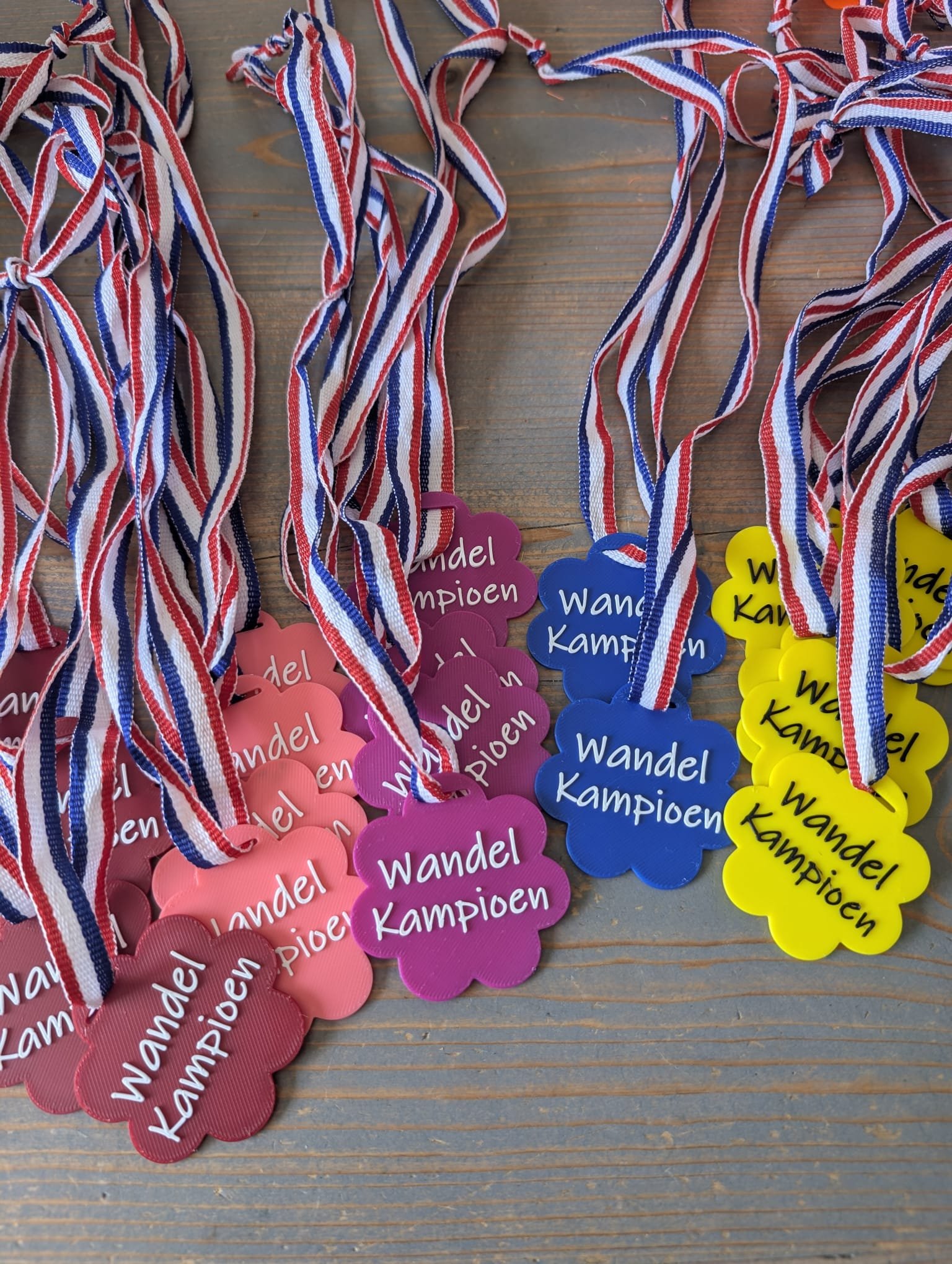 Wandel Kampioen Medaille Blauw - Image 2