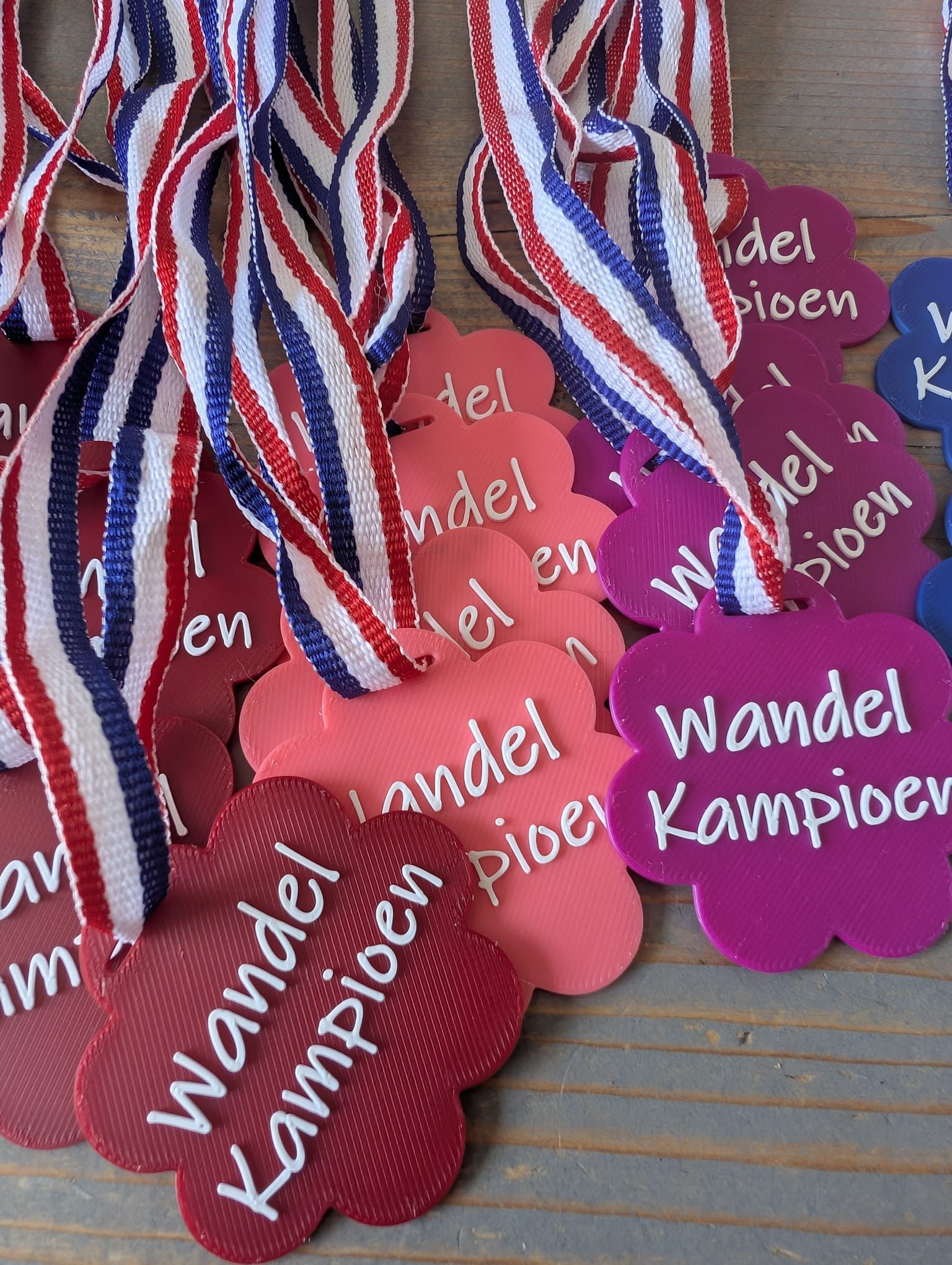 Wandel Kampioen Medaille Rood - Image 2