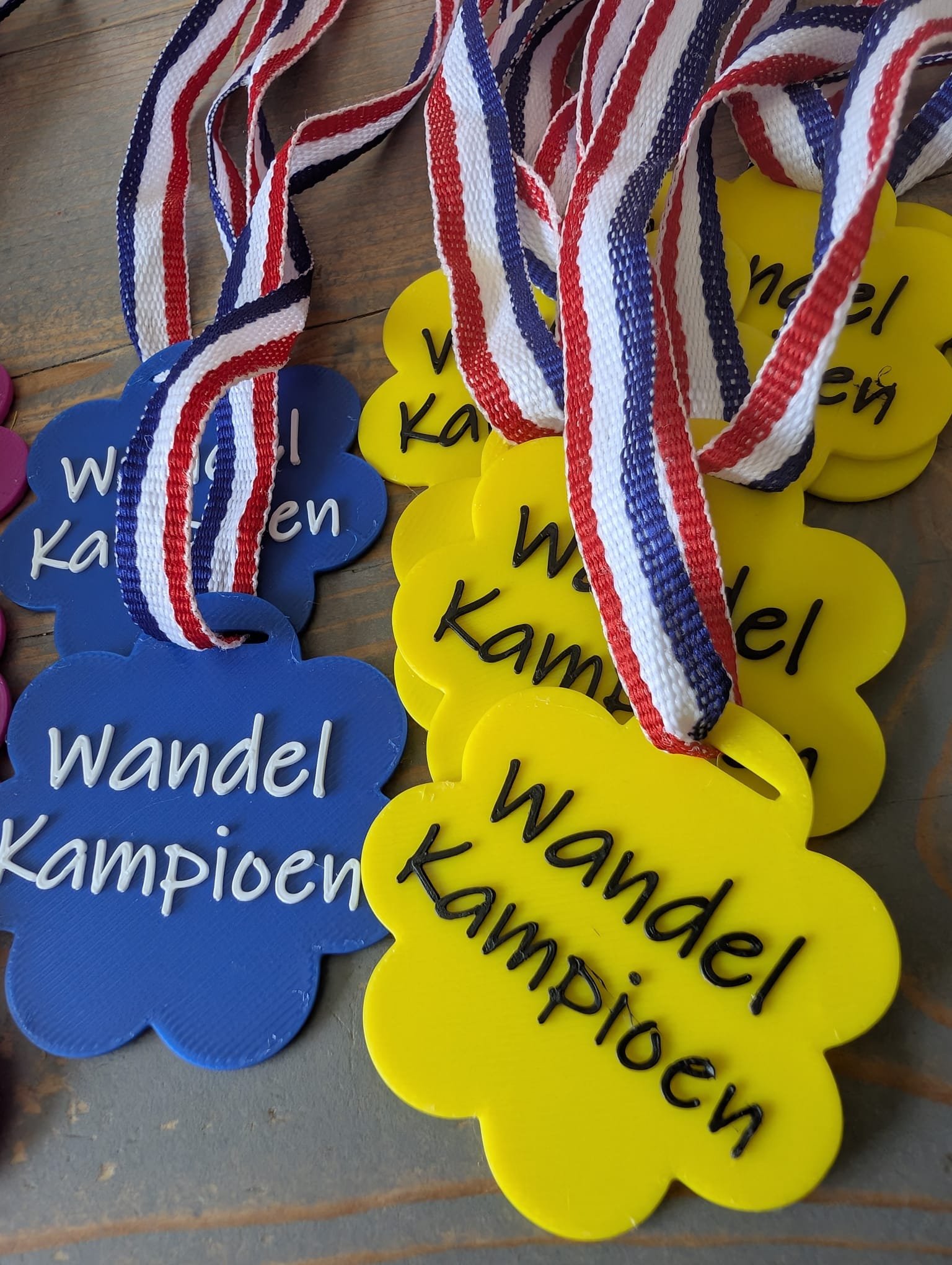 Wandel Kampioen Medaille Geel - Image 2