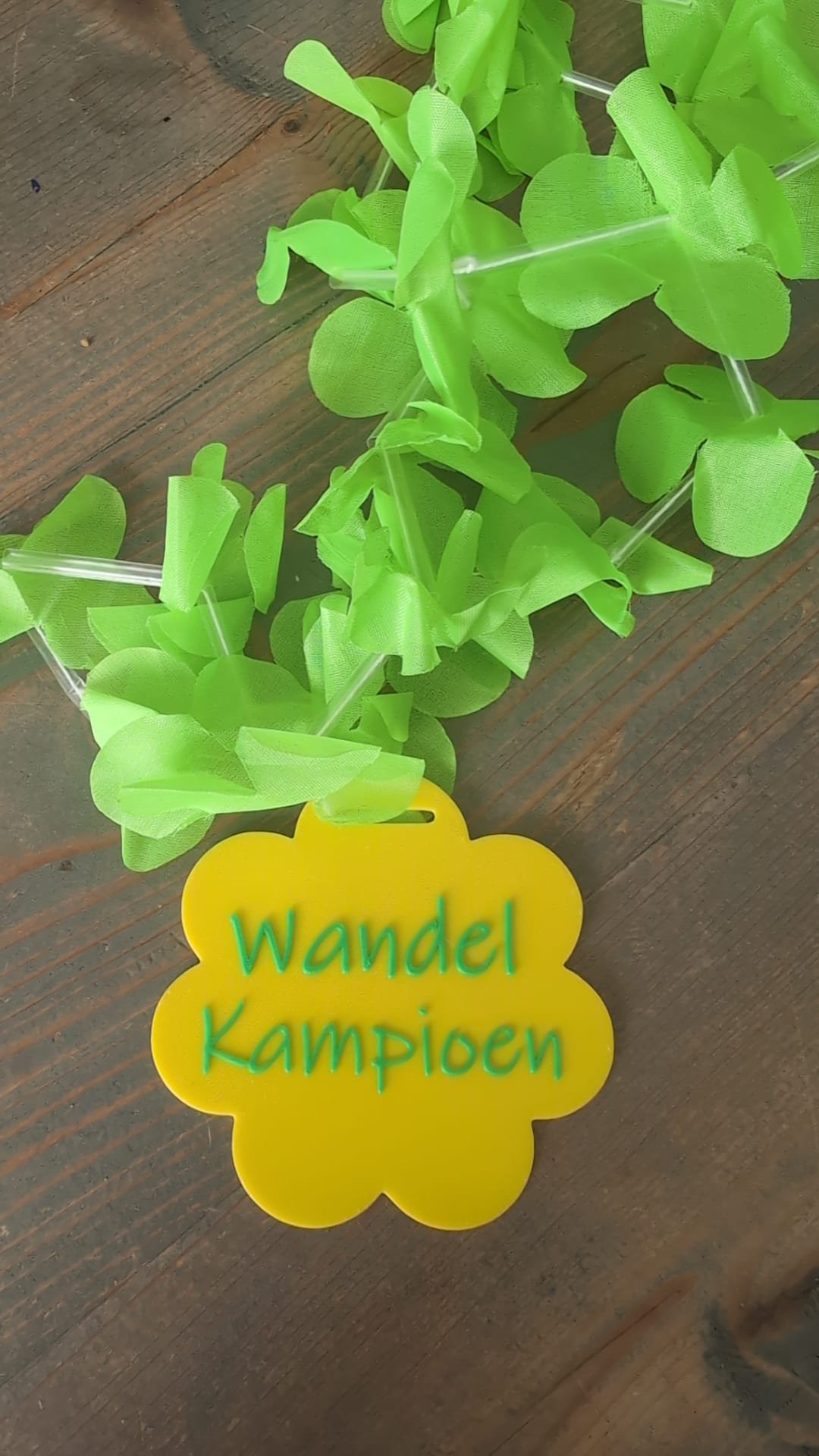 Wandel Kampioen Bloemenslinger (Geel) - Image 2