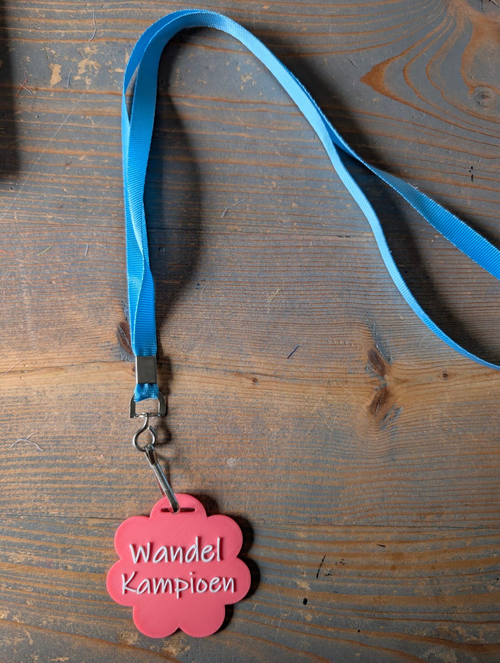 Wandel Kampioen Medaille (Roze) - Image 3