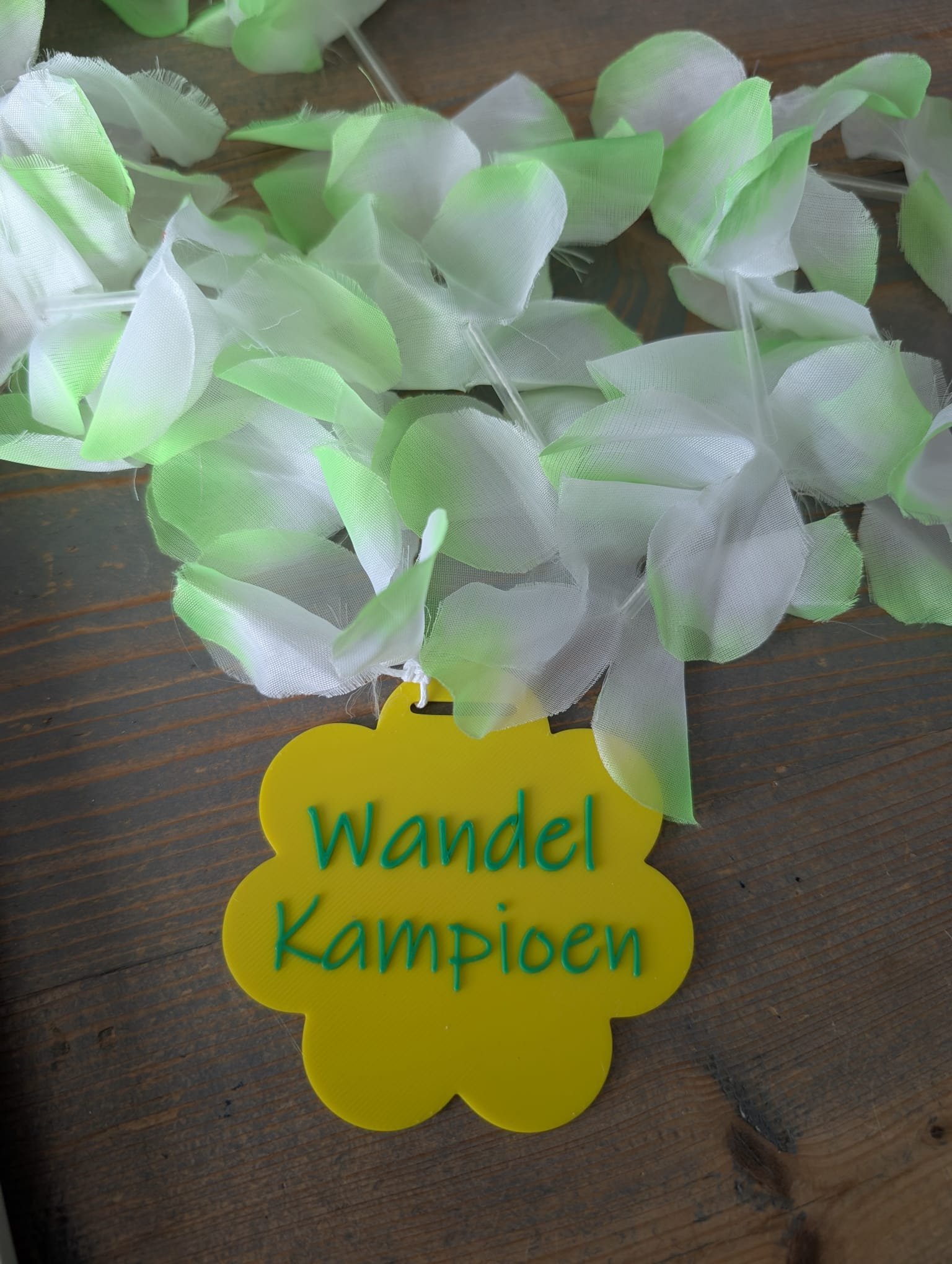 Wandel Kampioen Bloemenslinger (Geel) - Image 2