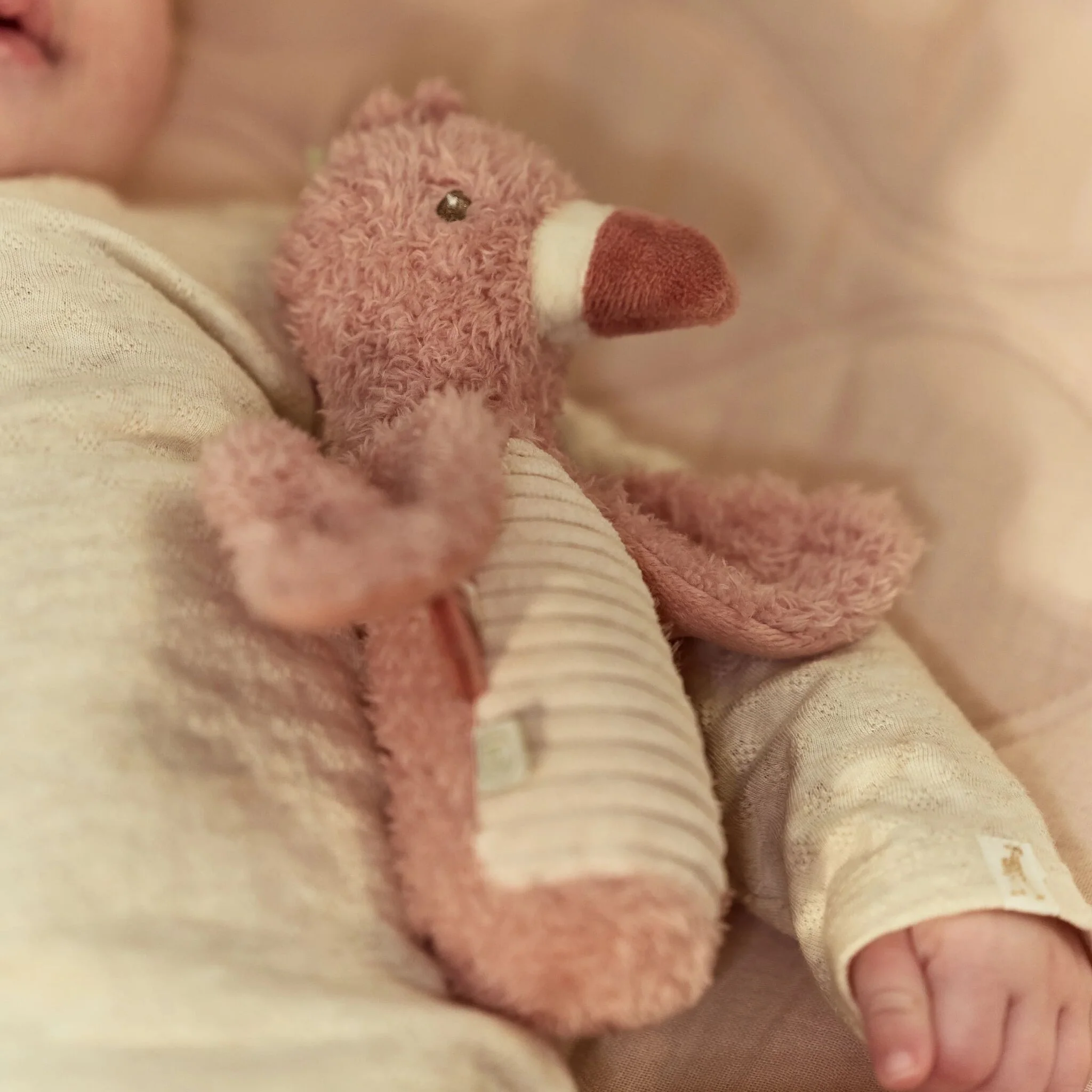 Little Dutch Knijprammelaar Flamingo - Roze - Image 9