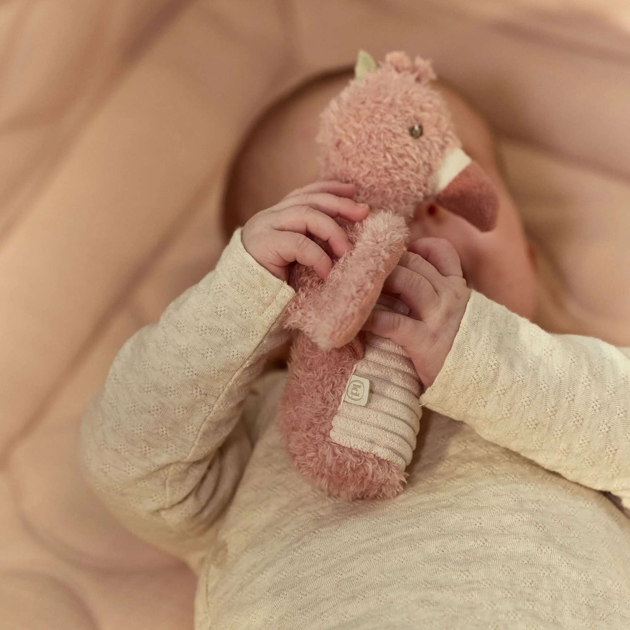 Little Dutch Knijprammelaar Flamingo - Roze - Image 7