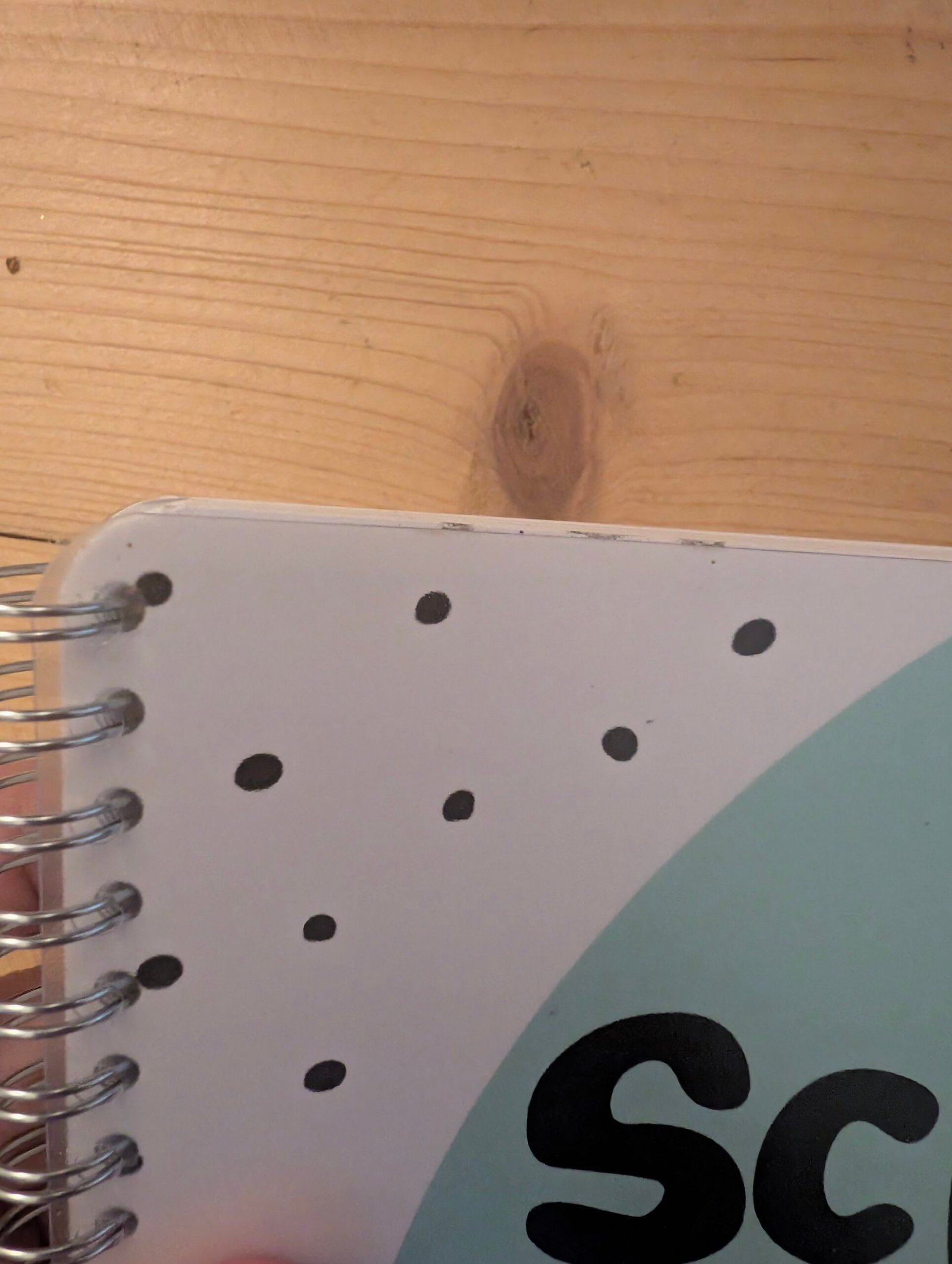 SALE schoolfotoboek Groen boek 1 - Afbeelding 2