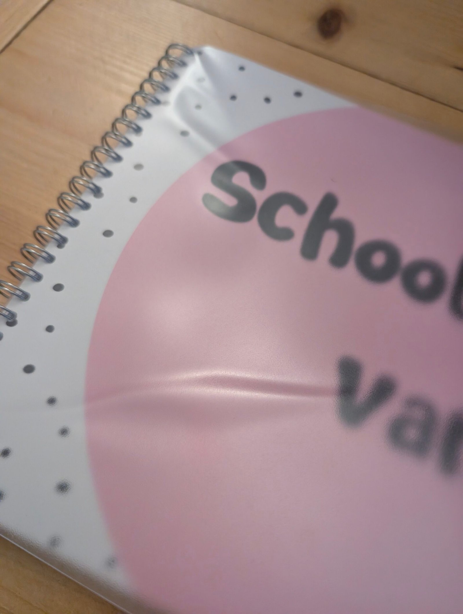 SALE Schoolfoto's van Roze - Afbeelding 2